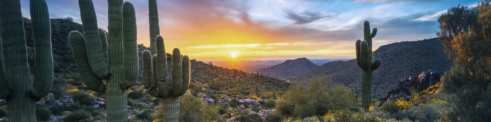 Scale your RIA Business with Mergers, Acquisitions, and Confidence