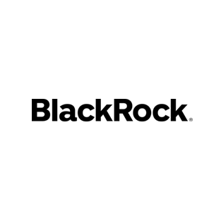 <p>BlackRock</p> Logo