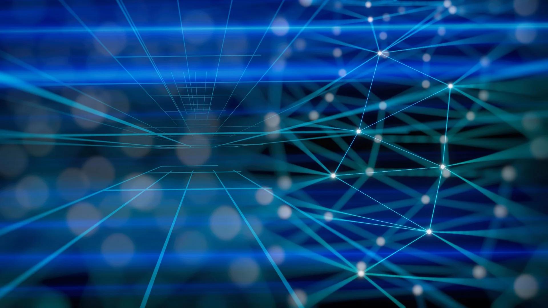 Black Diamond Sleeves | Enhancing Portfolio Management