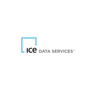 <p>ICE Data Services</p> Logo