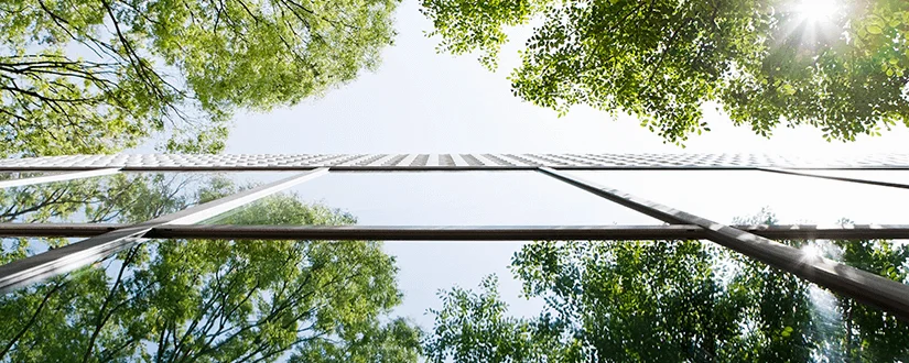 Future of Holistic Fiduciary Advice