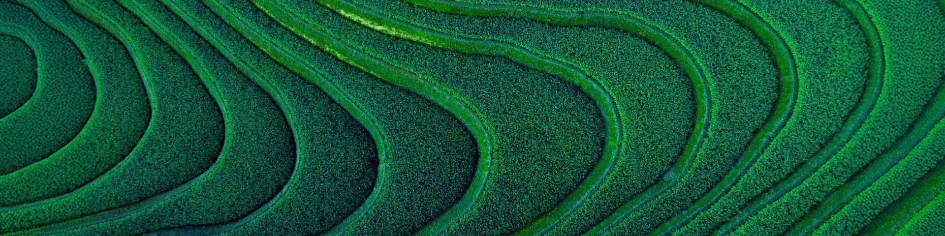 Find Your Fit with Three Tailored CRM Solutions